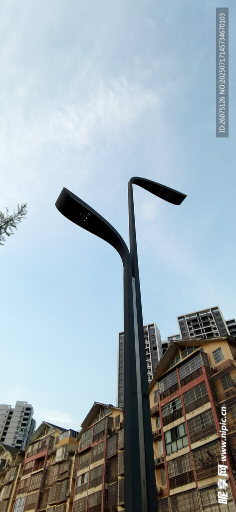 城市路灯与飞鸟景观