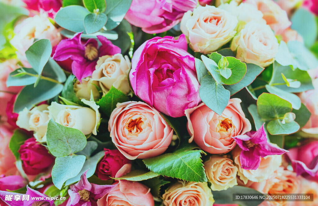 多彩娇艳鲜花组合