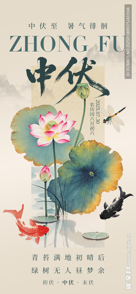 中式三伏天荷花锦鲤插画