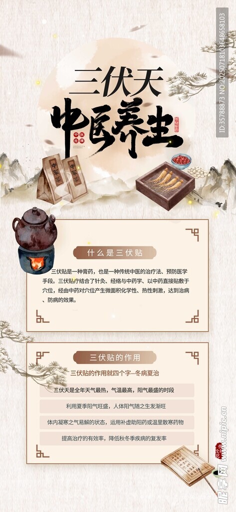 三伏天中医养生宣传海报