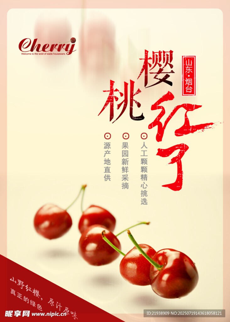 樱桃海报