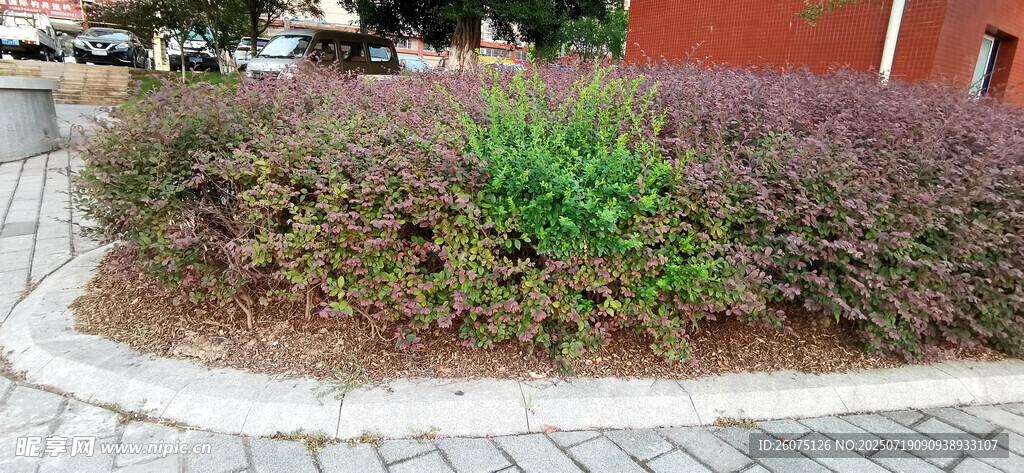 城市街角绿植景观