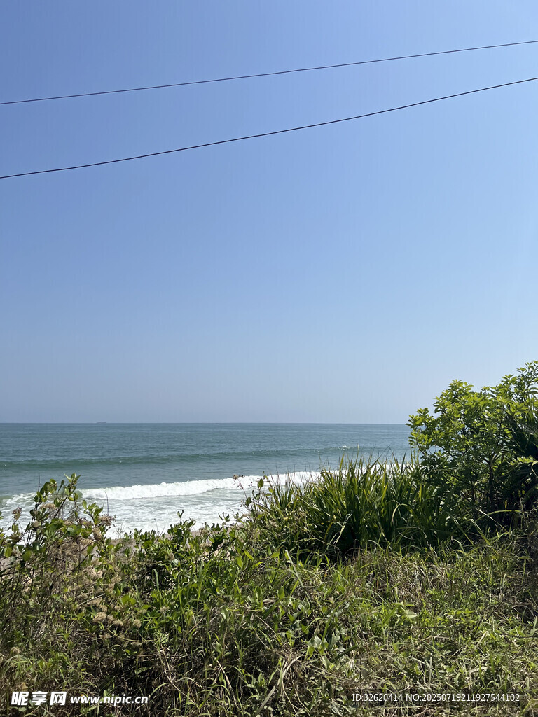 海边绿植与蔚蓝大海景观