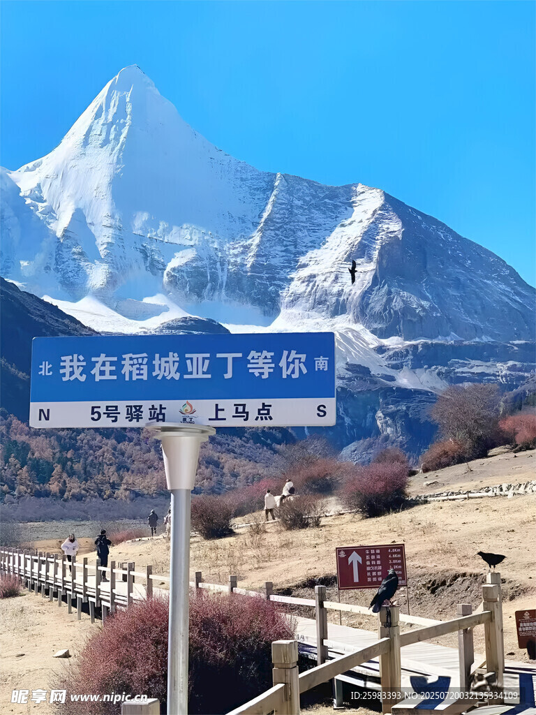 雪山下的观景台