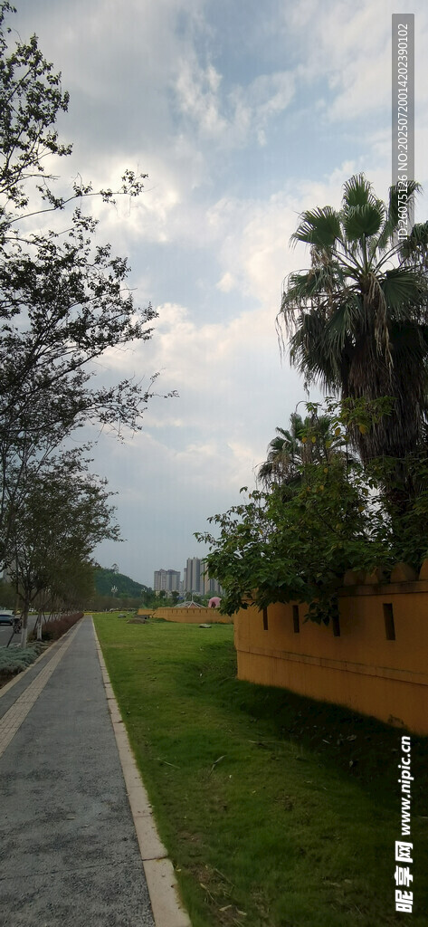 户外林荫小道风景