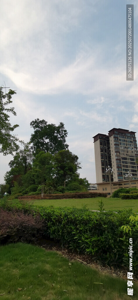 城市绿地旁的高楼景观