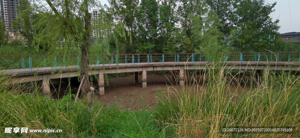 河畔木桥