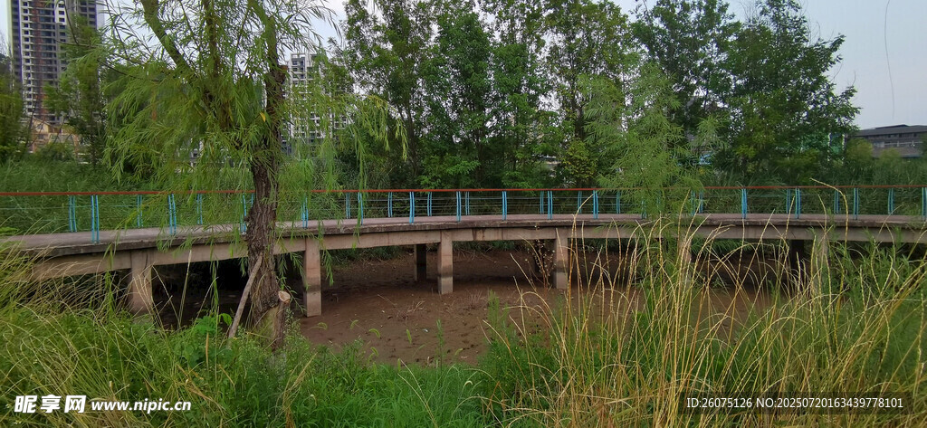 河畔木桥