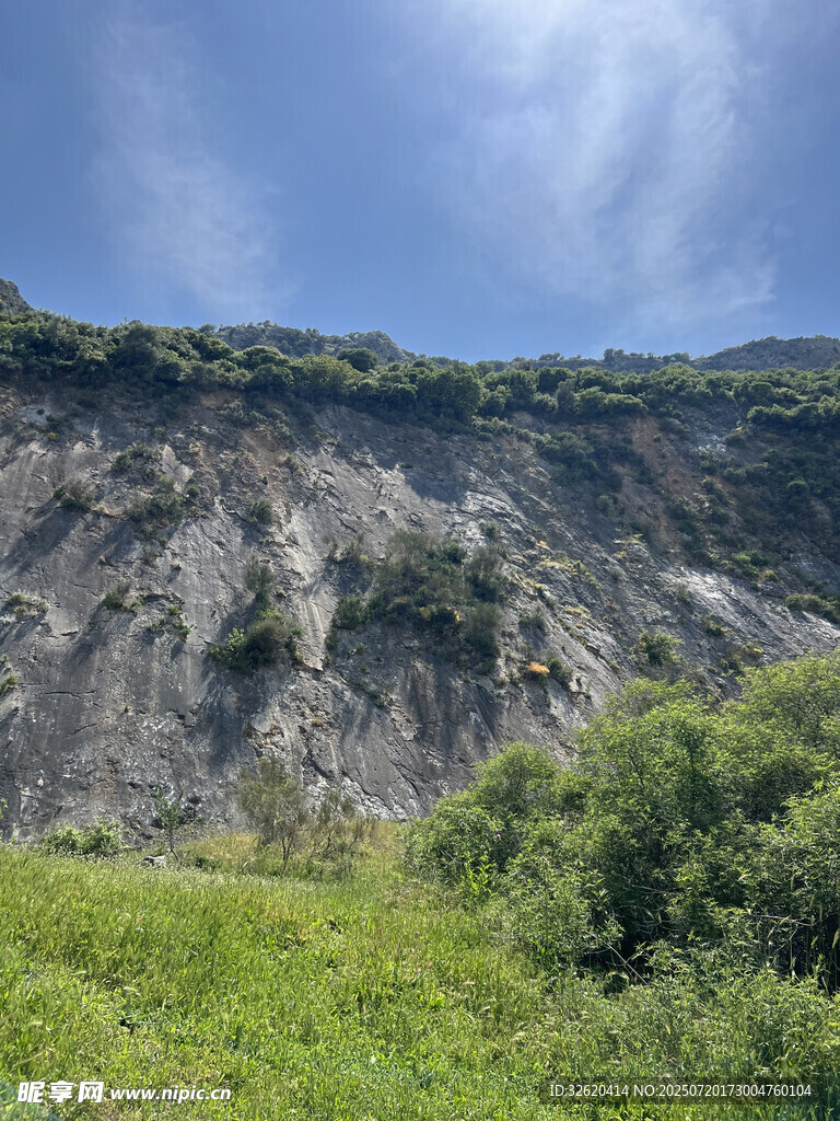 山坡绿植与岩石景观