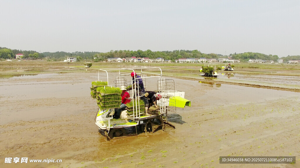水田插秧机作业场景
