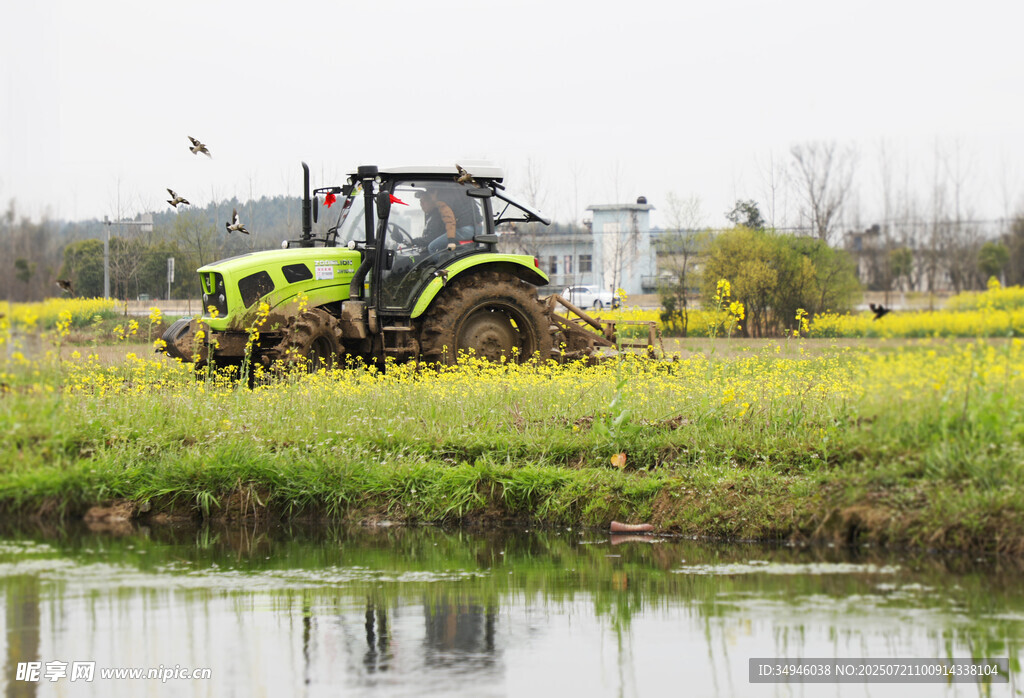 田野中作业的绿色拖拉机