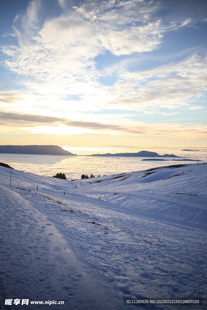 冬日雪地黄昏美景