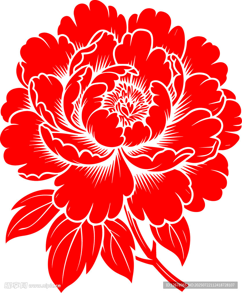 红色牡丹花卉图案