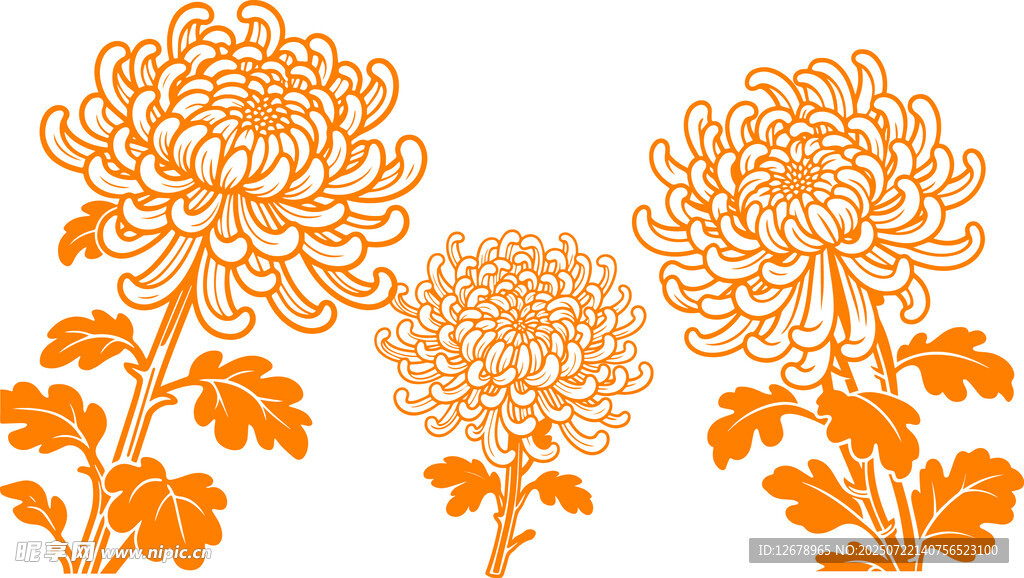 橙色菊花矢量图案