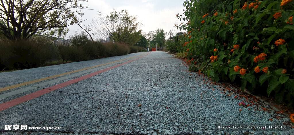 雨中湿润的多彩沥青道路
