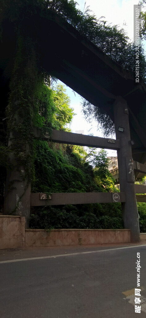 绿荫覆盖的古朴木质门廊