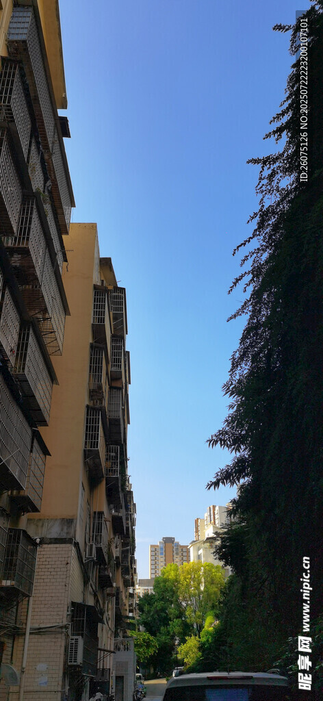 城市中林立的建筑与绿树