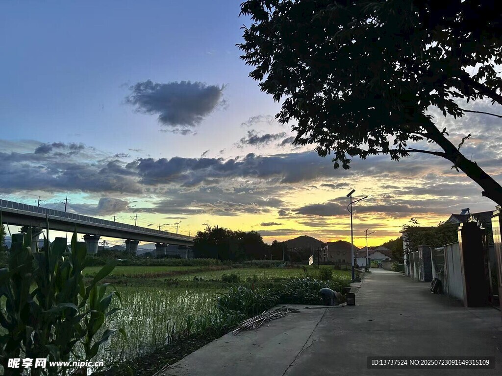 农村夕阳