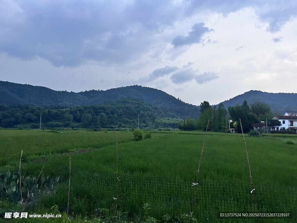 麦田 农村 田野