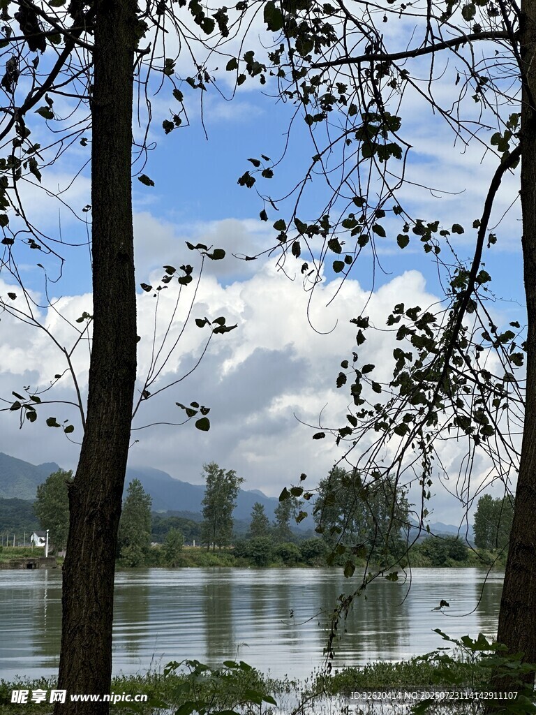 湖畔树影 山水相映成趣
