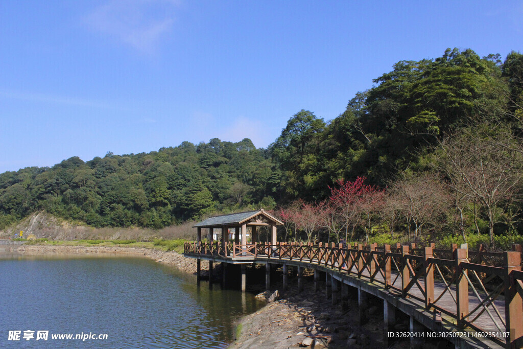 湖畔木桥风景