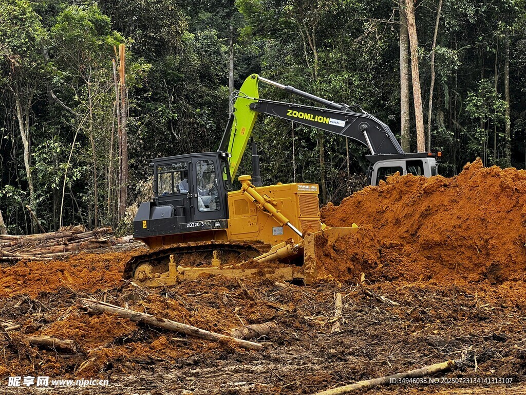 挖掘机作业于林地现场