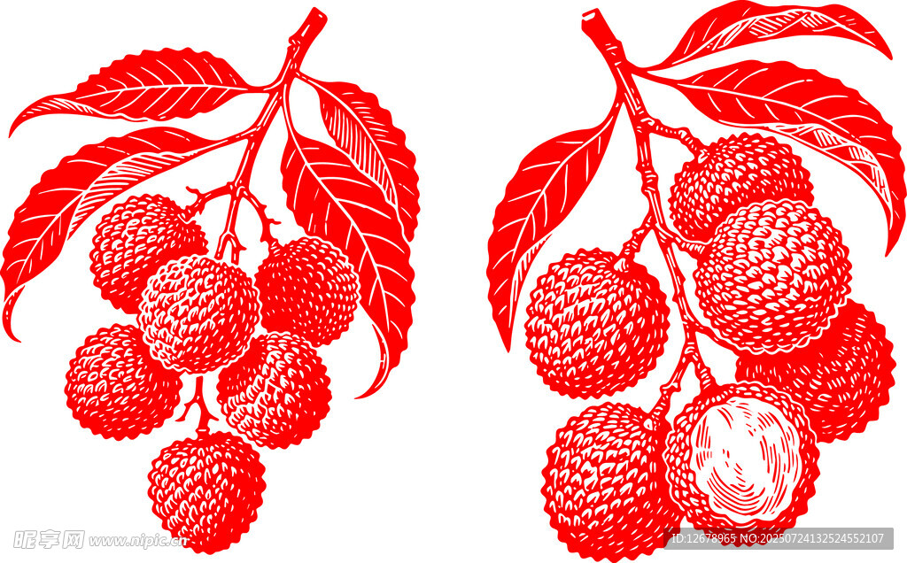 手绘矢量荔枝插画