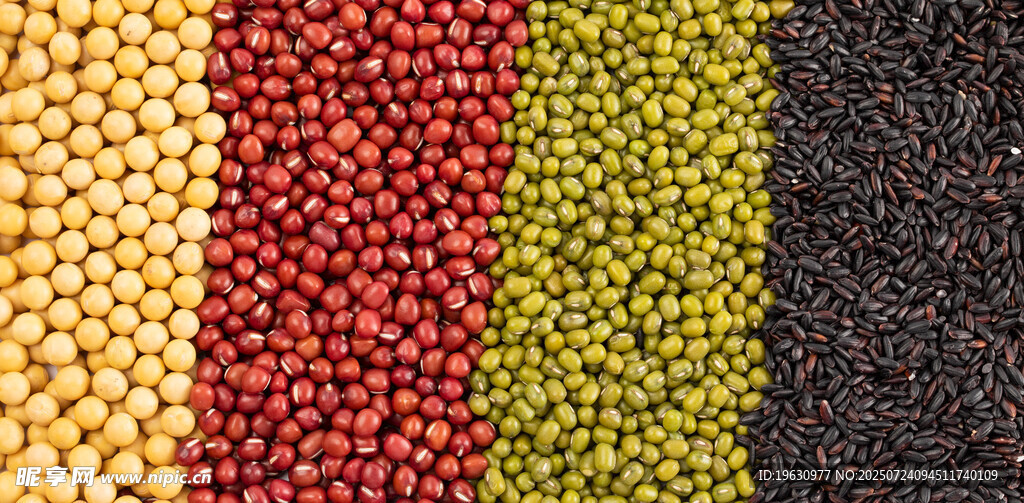 多彩豆类展示