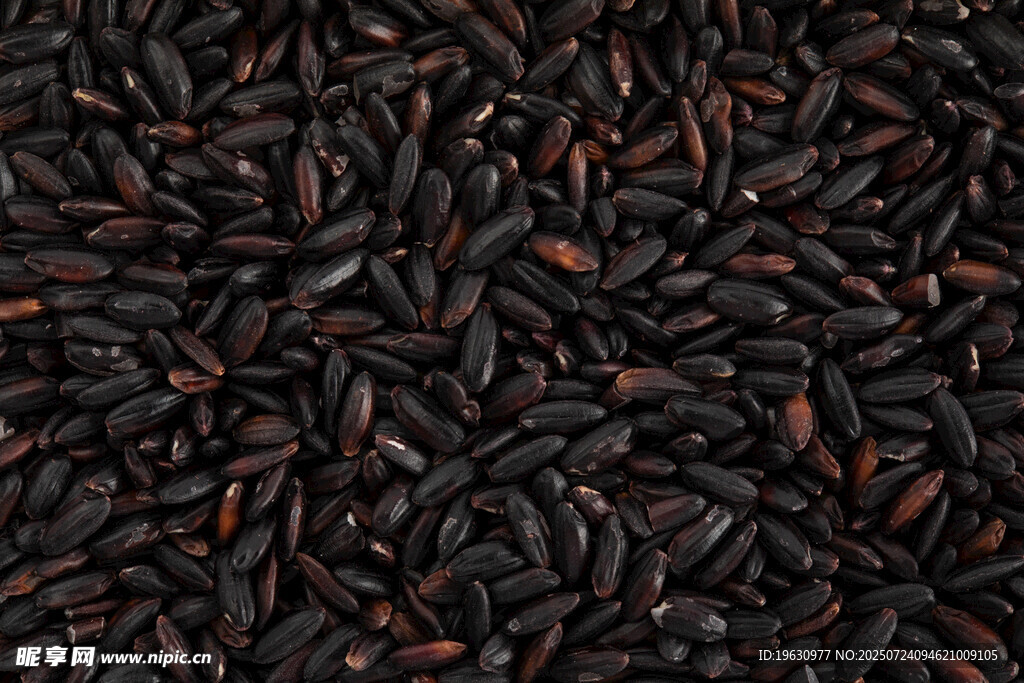 黑红色谷物颗粒特写