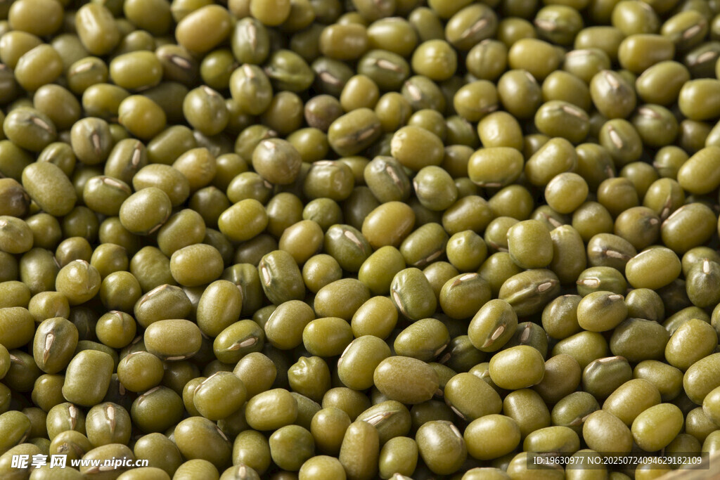 饱满绿豆特写