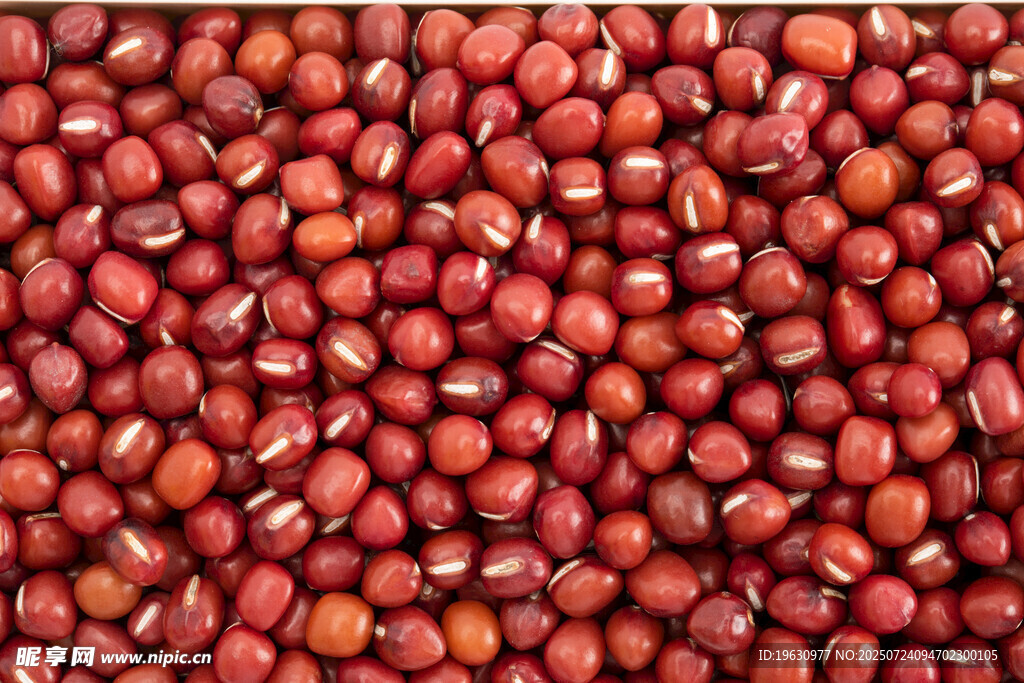 饱满红豆特写