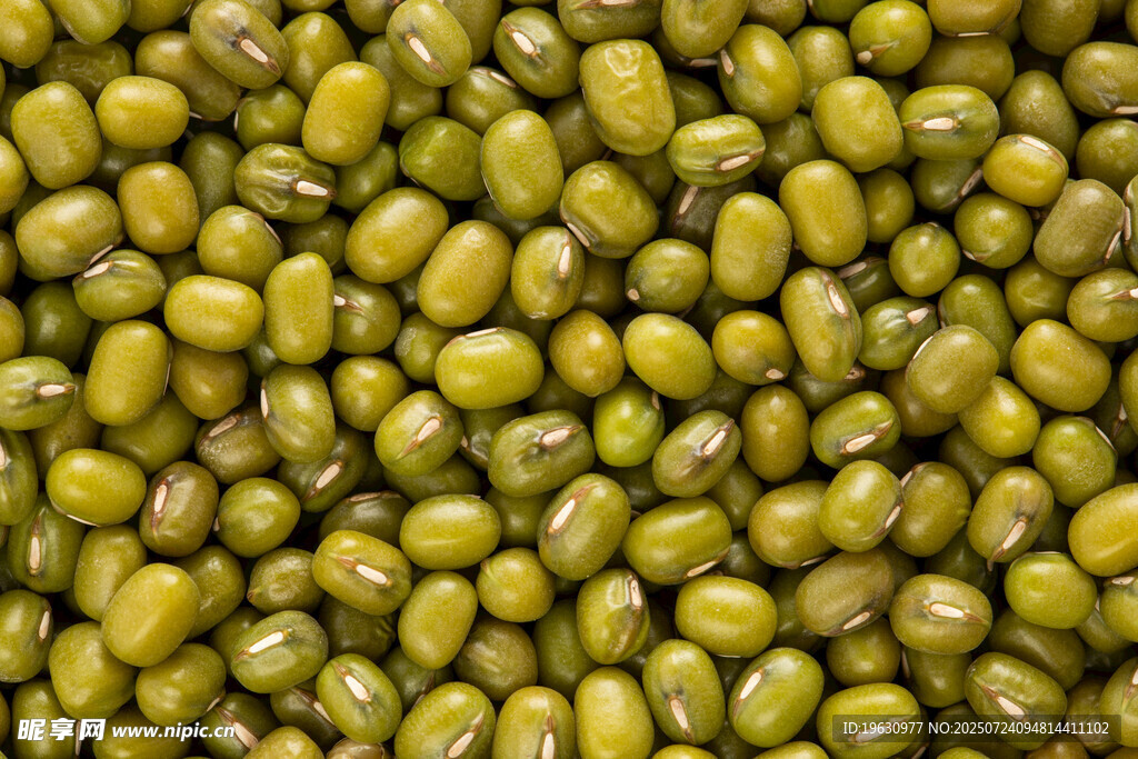 饱满绿豆特写