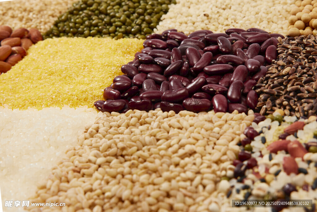 多样谷物豆类展示