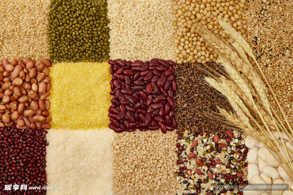 多彩谷物拼图展示多样食材