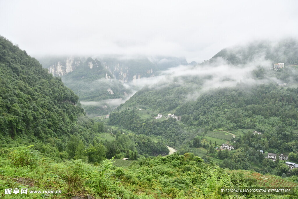 山间云雾缭绕的翠绿景致