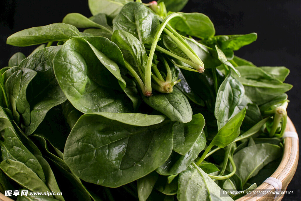 新鲜菠菜