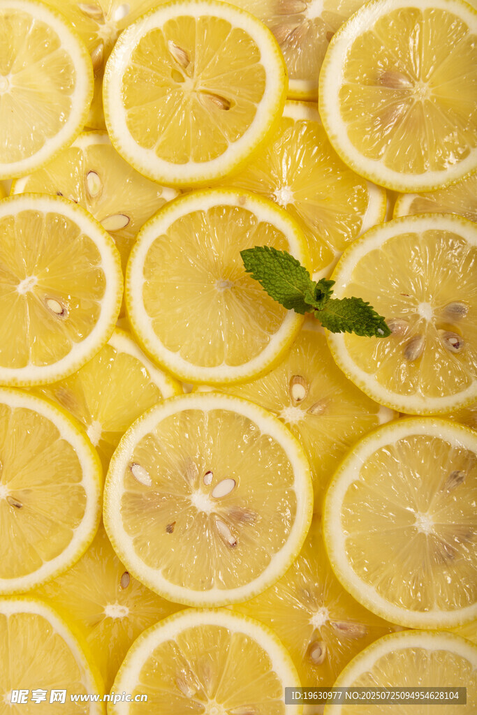 柠檬切片图