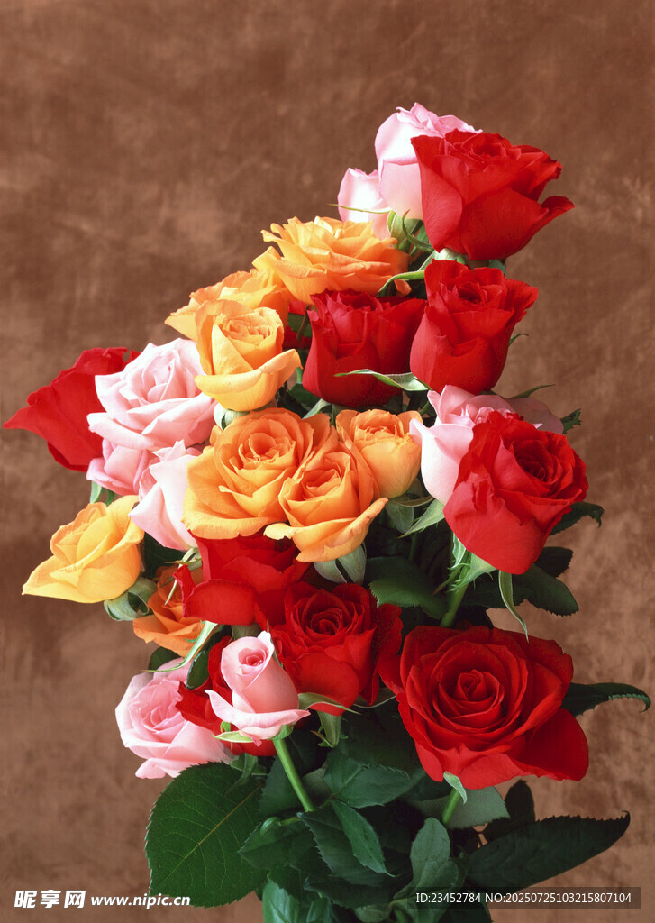 多彩玫瑰花束