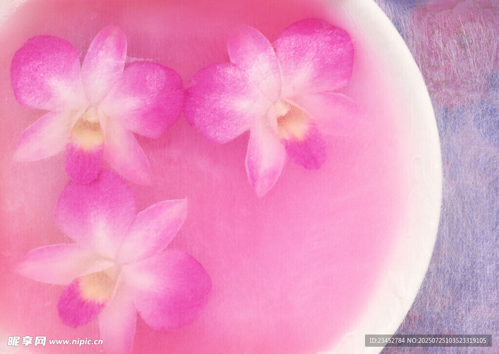 粉色碗中盛放三朵兰花