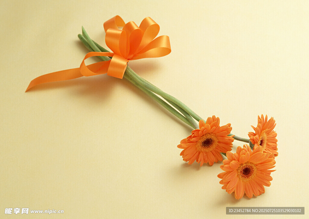 橙色雏菊配丝带装饰