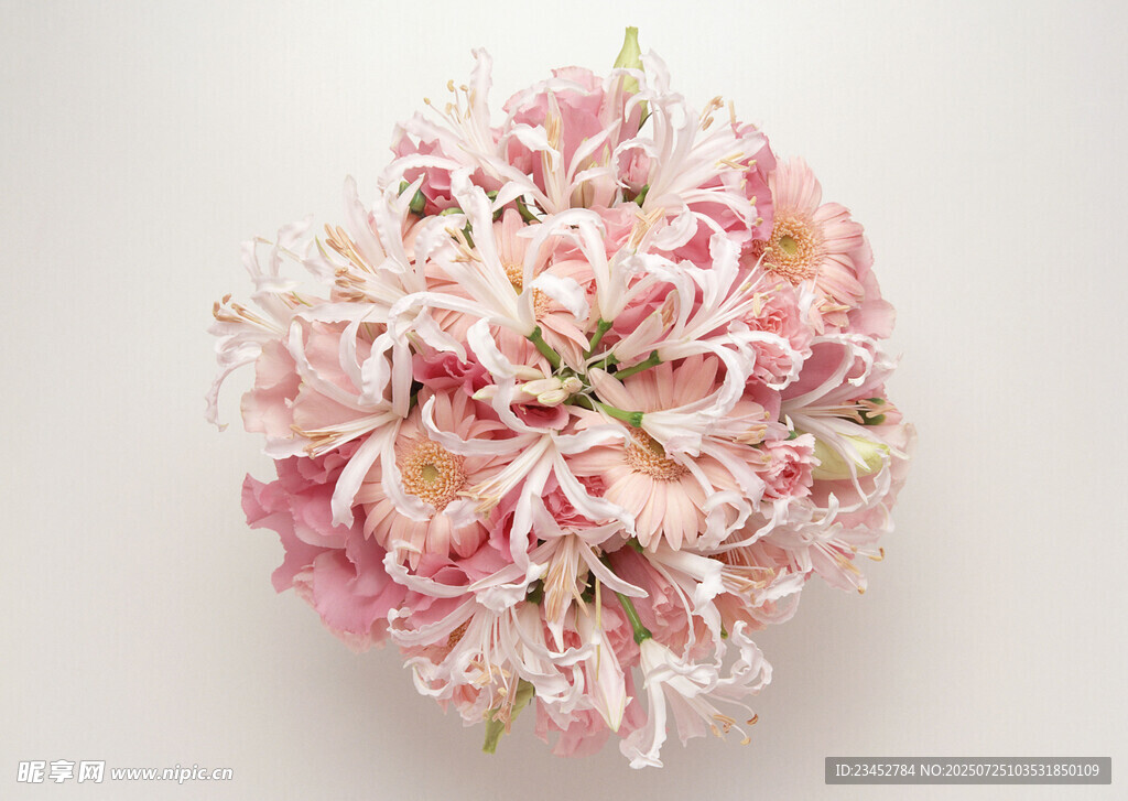 粉色优雅绽放的花朵球