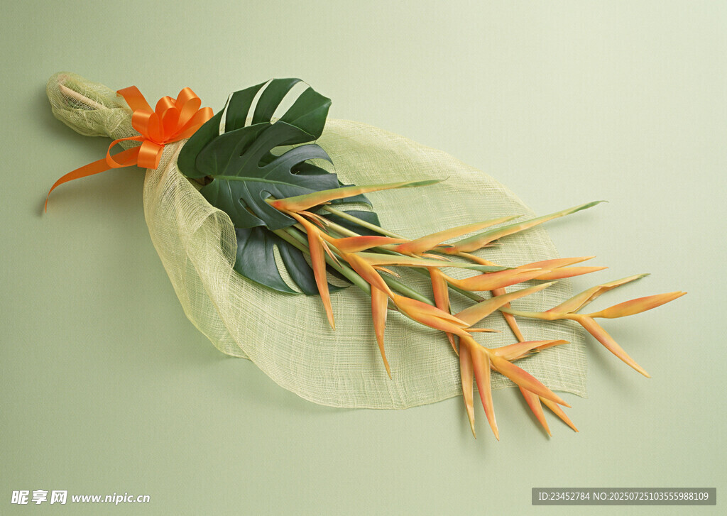 橙色花卉装饰与绿叶组合