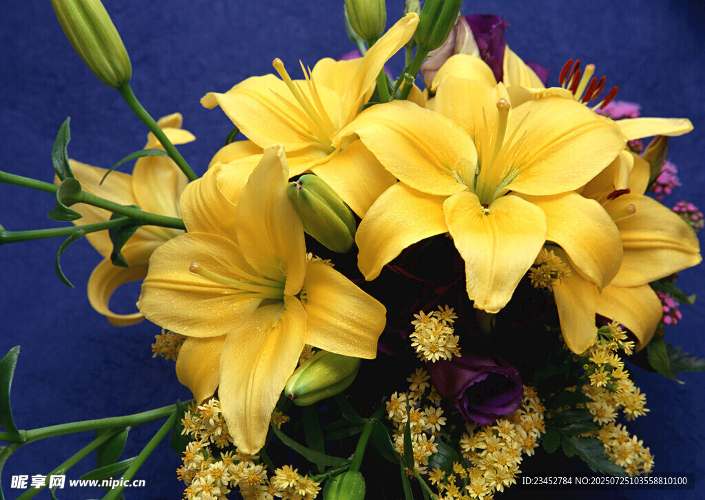 黄色百合花插花特写