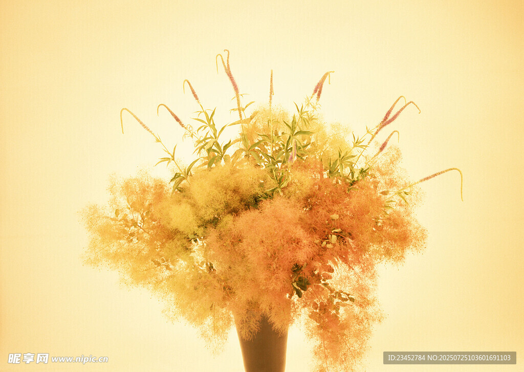 暖色调梦幻花卉特写