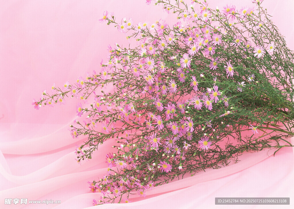 粉色浪漫满天星花束