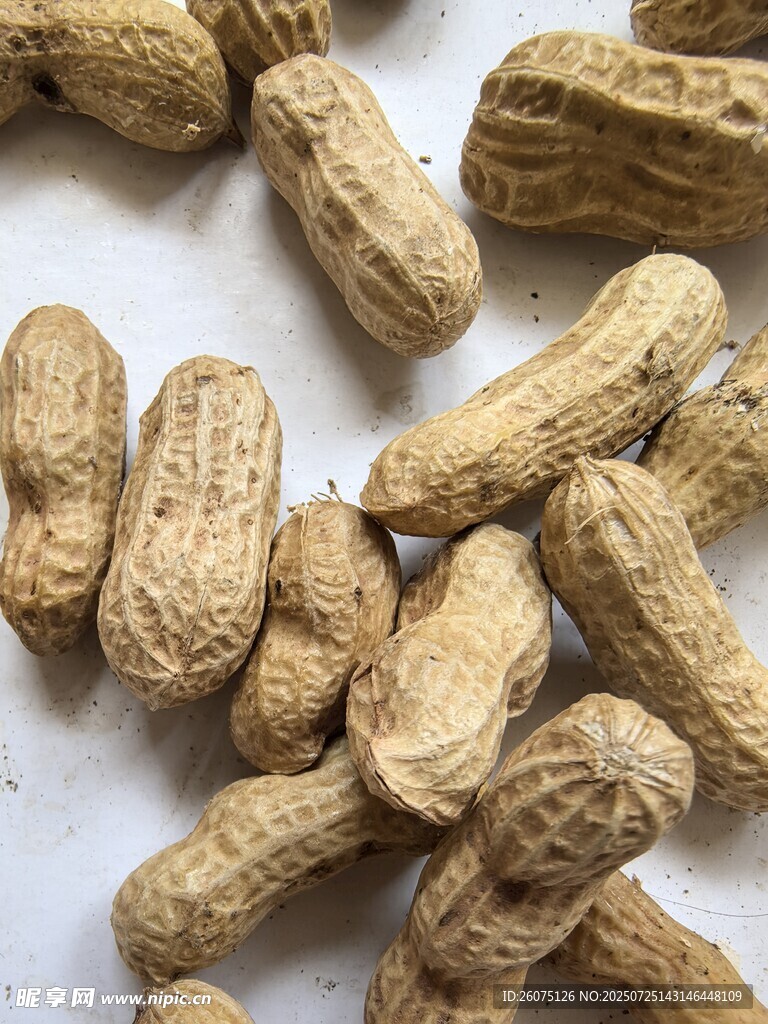 散落的带壳花生