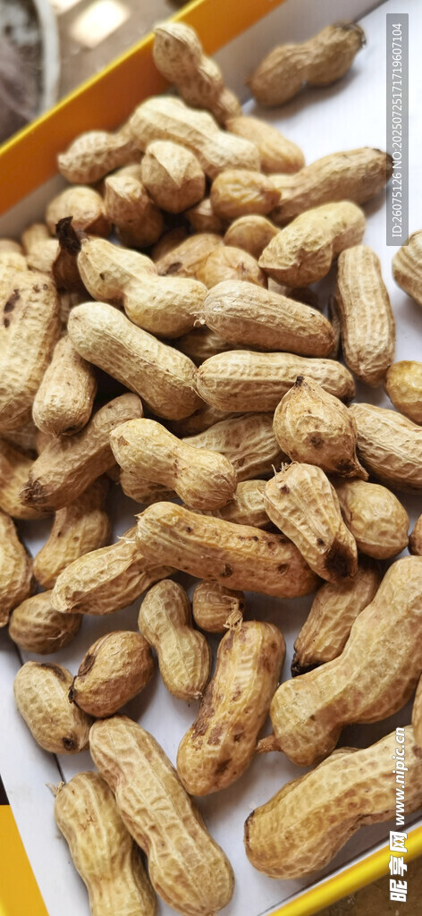新鲜饱满的花生干货展示