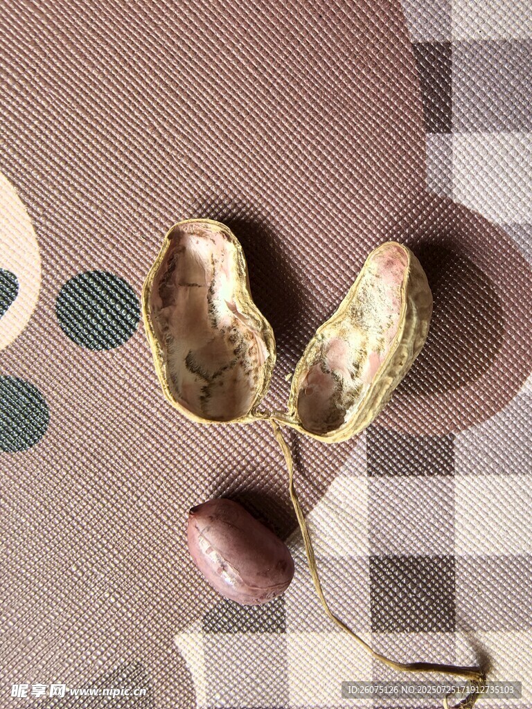 剥开的花生与周边小物