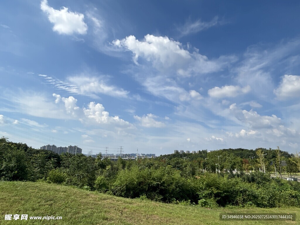 蓝天白云下的绿野风光