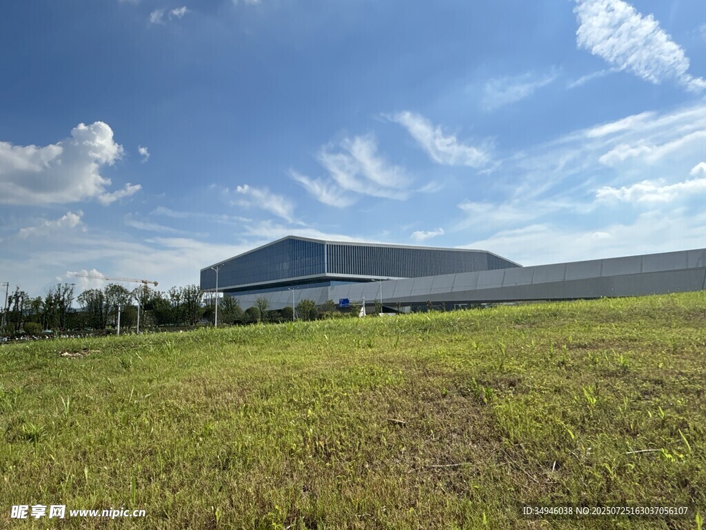 开阔草地旁的现代建筑